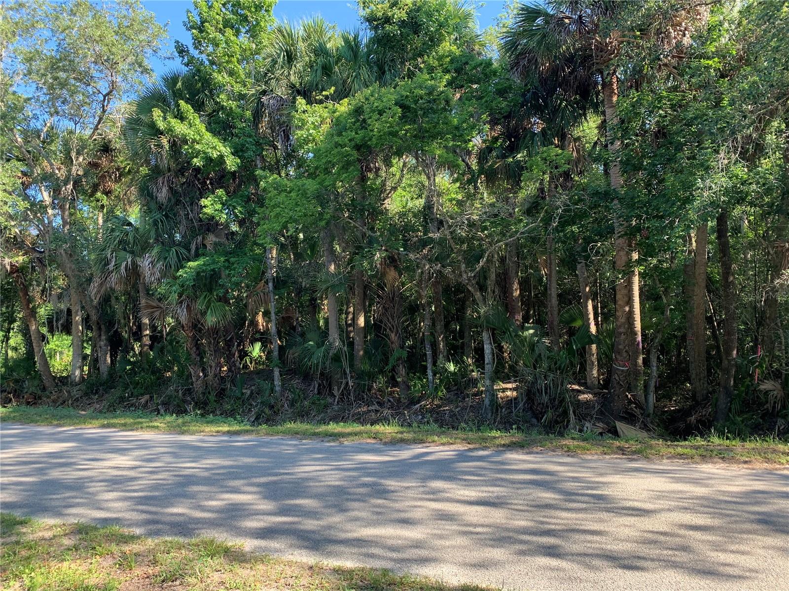 ACREAGE & UNREC - Land