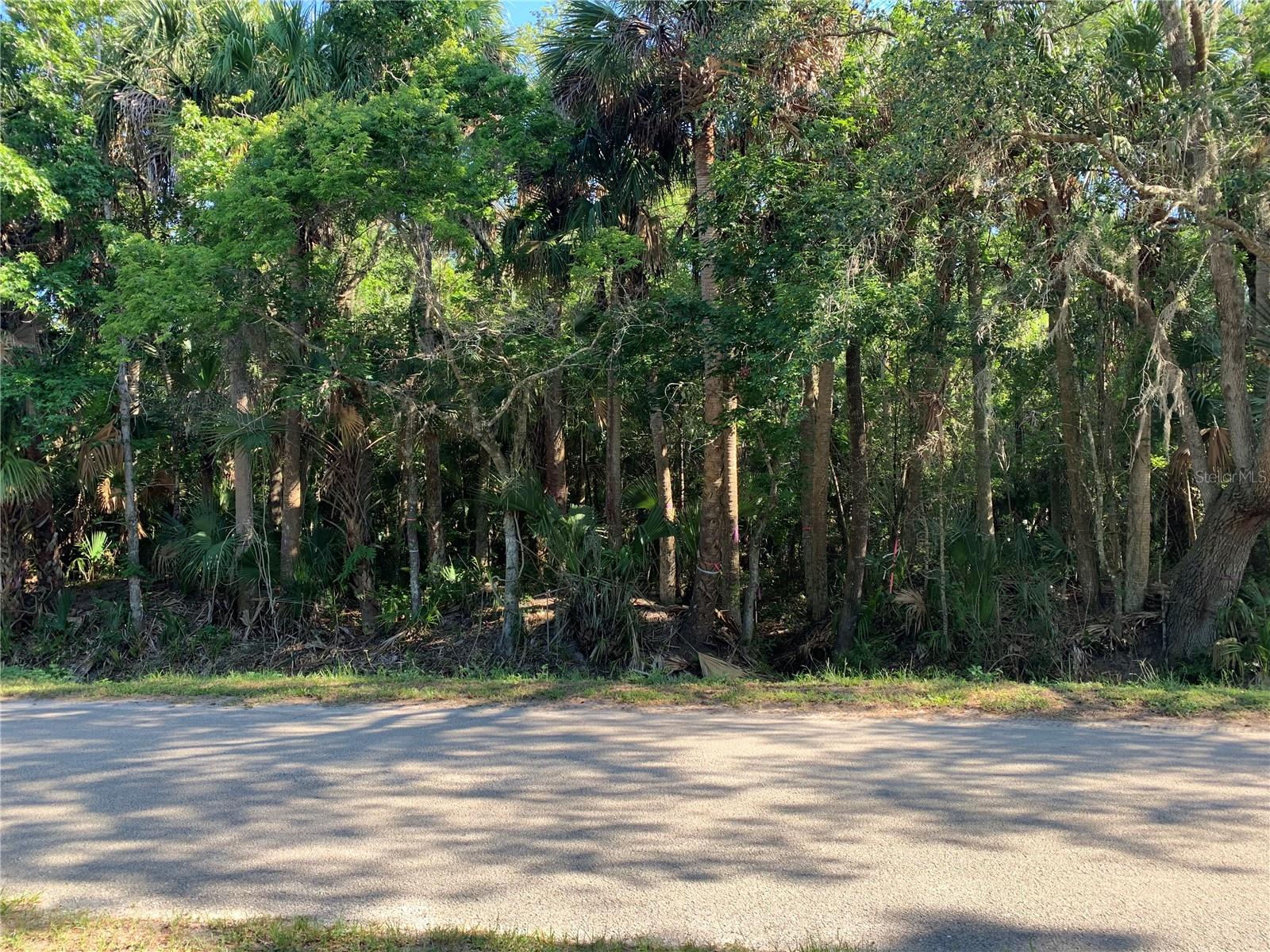 ACREAGE & UNREC - Land