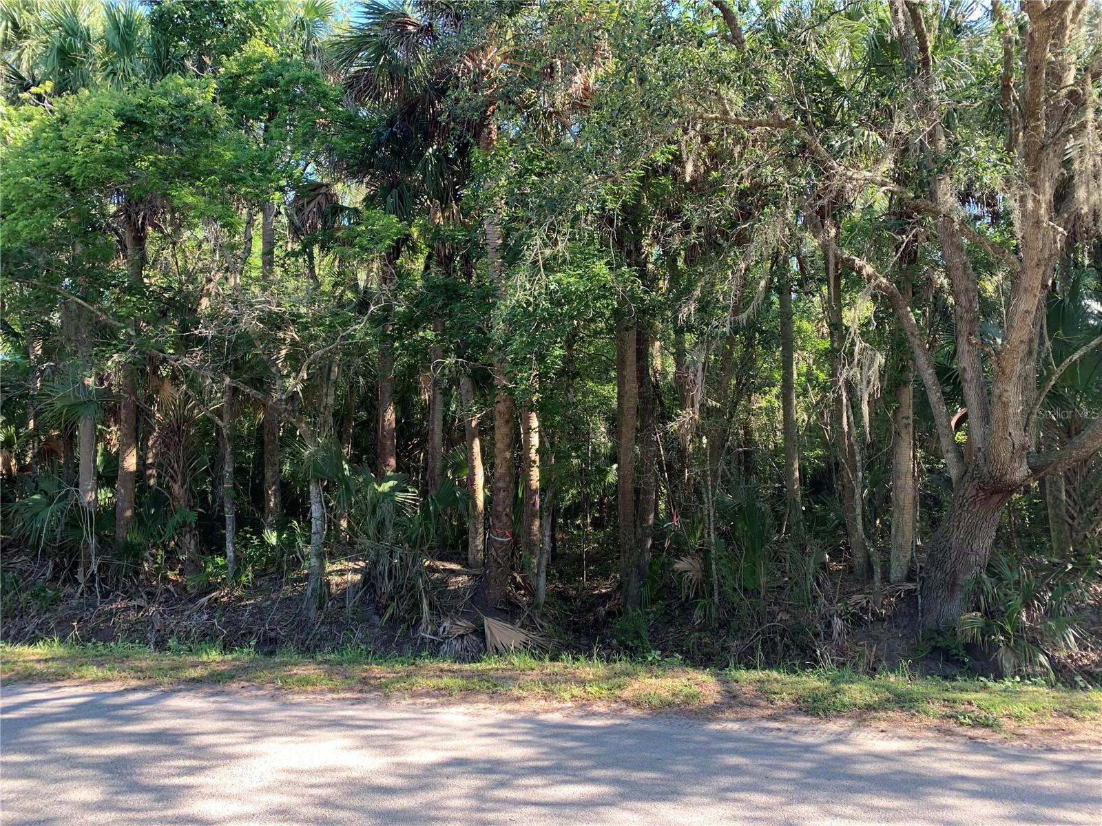 ACREAGE & UNREC - Land