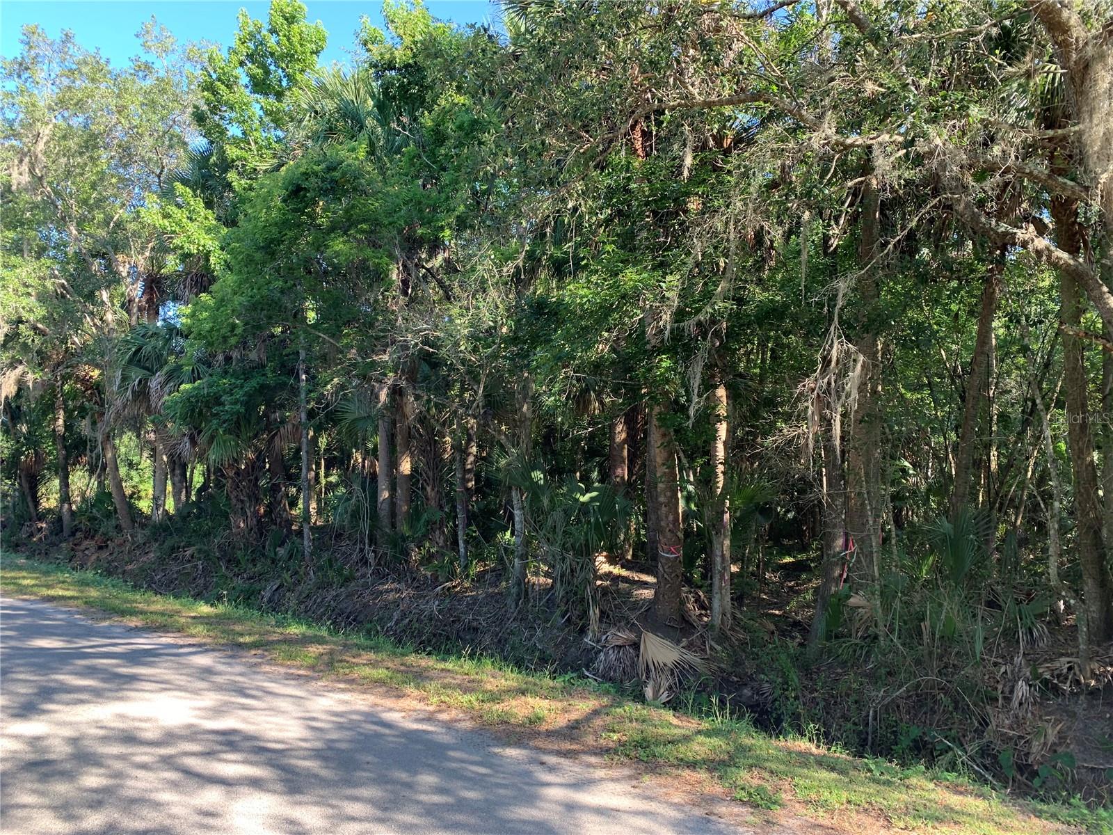 ACREAGE & UNREC - Land