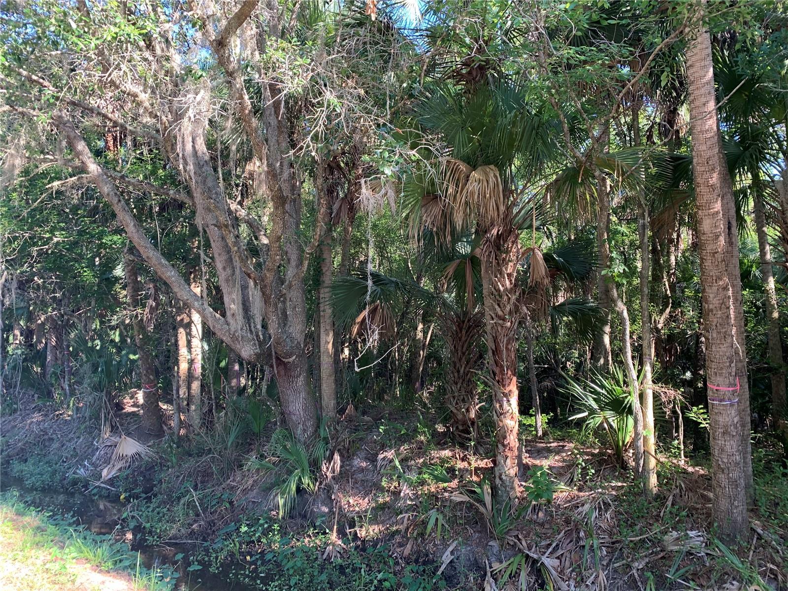 ACREAGE & UNREC - Land