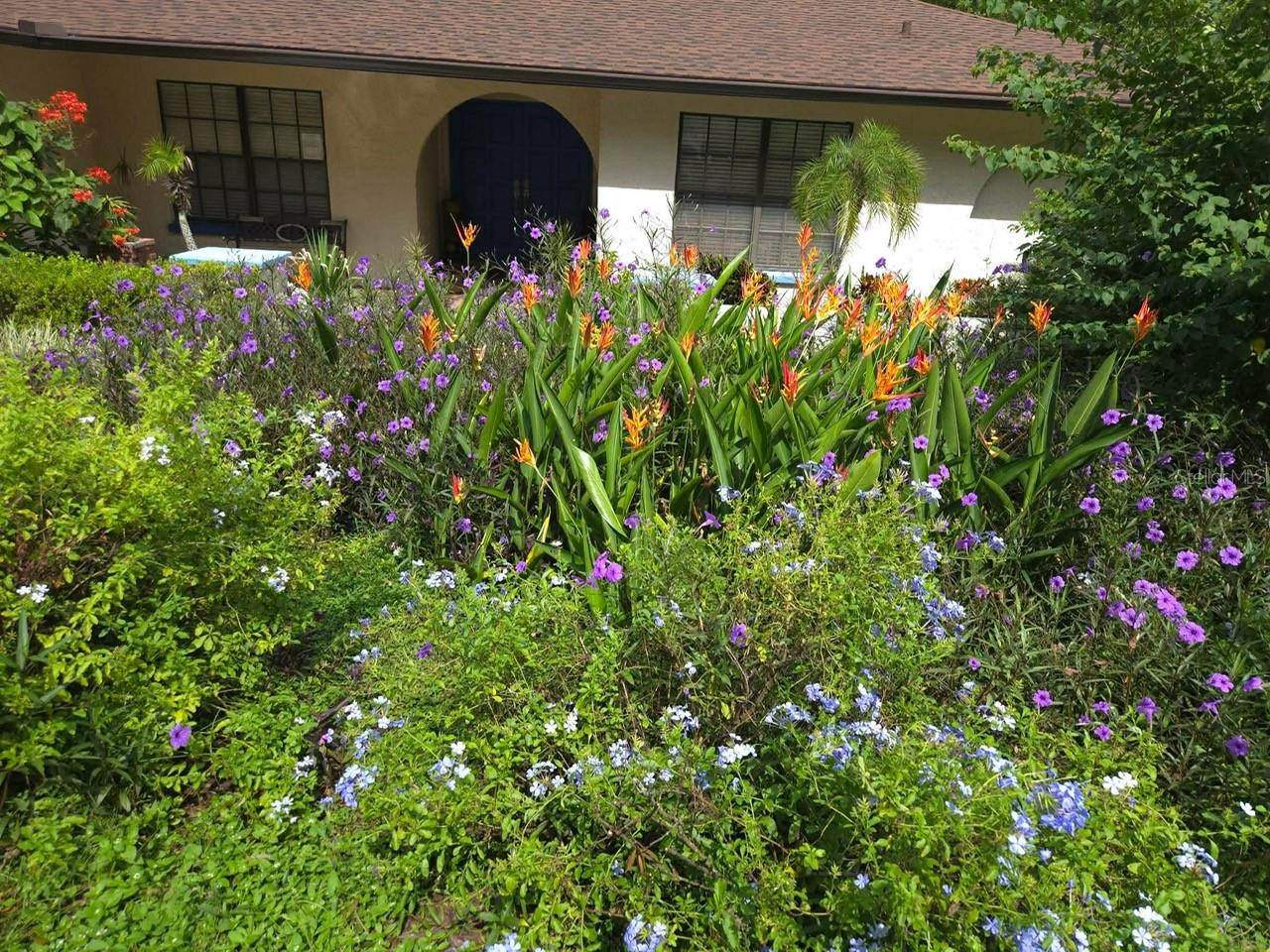 LAKE PADGETT ESTATES - Residential