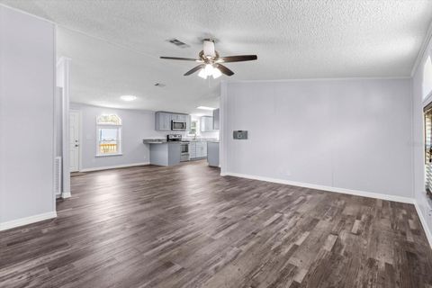 A home in HOMOSASSA