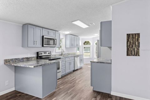 A home in HOMOSASSA