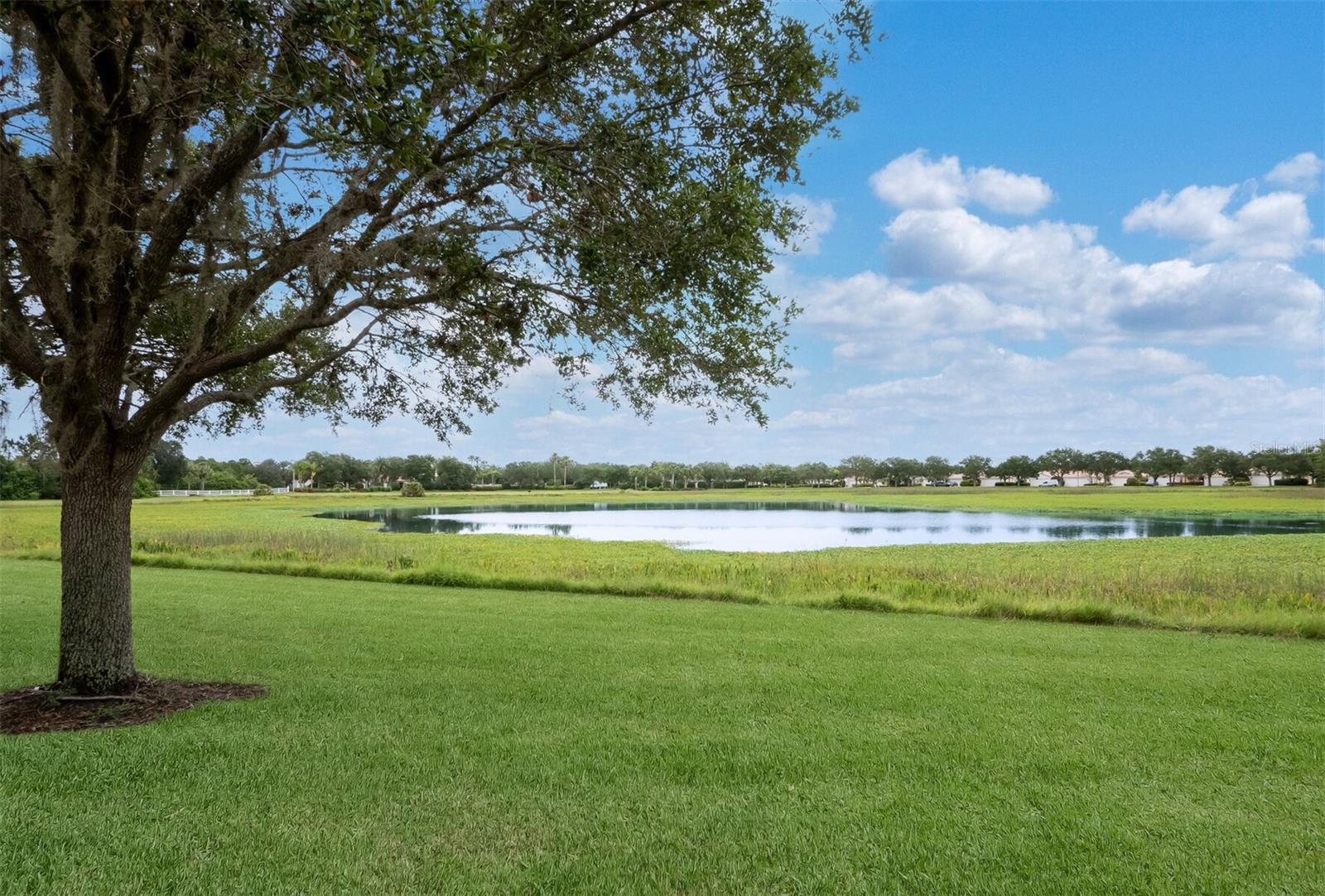 VILLAGEWALK - Residential