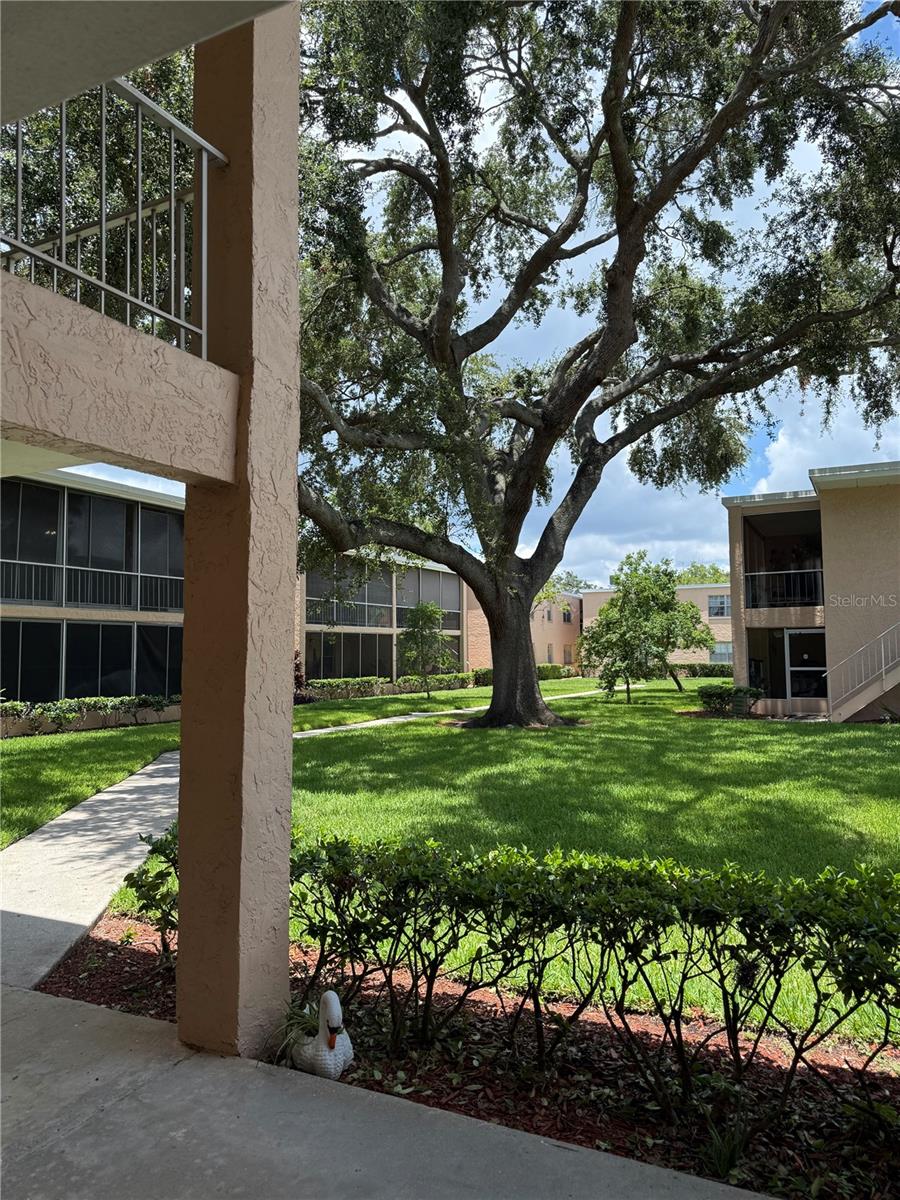 Move-In Ready Ground-Floor Condo in the Heart of Tampa! Step into comfort and style with this beautifully updated 2-bedroom, 1-bath condo offering 950 sq. ft. of thoughtfully designed living space. Located on the ground floor, this unit features serene views of the courtyard and pool, creating a peaceful retreat right at home. Freshly painted with an open-concept living area that flows seamlessly into a modern kitchen equipped with stainless steel appliances—including a brand-new stove. Durable laminate flooring runs throughout, adding a sleek, contemporary touch to every room. Enjoy unbeatable convenience with a prime location just 4 minutes from St. Joseph’s Hospital and the medical district, 14 minutes to Tampa International Airport, and 17 minutes to Downtown Tampa. You'll also be minutes from Al Lopez Park, Raymond James Stadium, the Hillsborough River, major highways, shopping, dining, and entertainment. Don’t miss your chance to schedule your private tour today!
