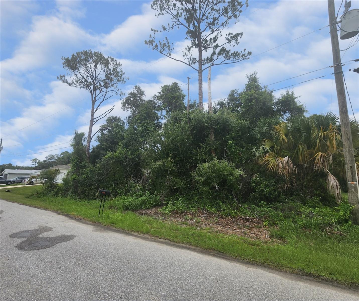 Your chance to embrace the Florida lifestyle awaits on this prime residential lot in the desirable North Port Estates area of North Port. This spacious, uncleared parcel offers a blank canvas for your dream home or smart investment. The lot is located in a neighborhood adjacent to luxury and agricultural acreage properties and just minutes from vibrant shopping, dining, entertainment, and the bustling Wellen Park district, you’ll enjoy everyday convenience with a touch of luxury nearby.
With no HOA or CDD fees and easy access to I-75 and US-41, you’ll appreciate the freedom and flexibility to create a private oasis that perfectly matches your vision. Surrounded by new construction and growing demand, this is an exceptional opportunity to secure your piece of Southwest Florida
Don’t wait — stake your claim and build your future today!