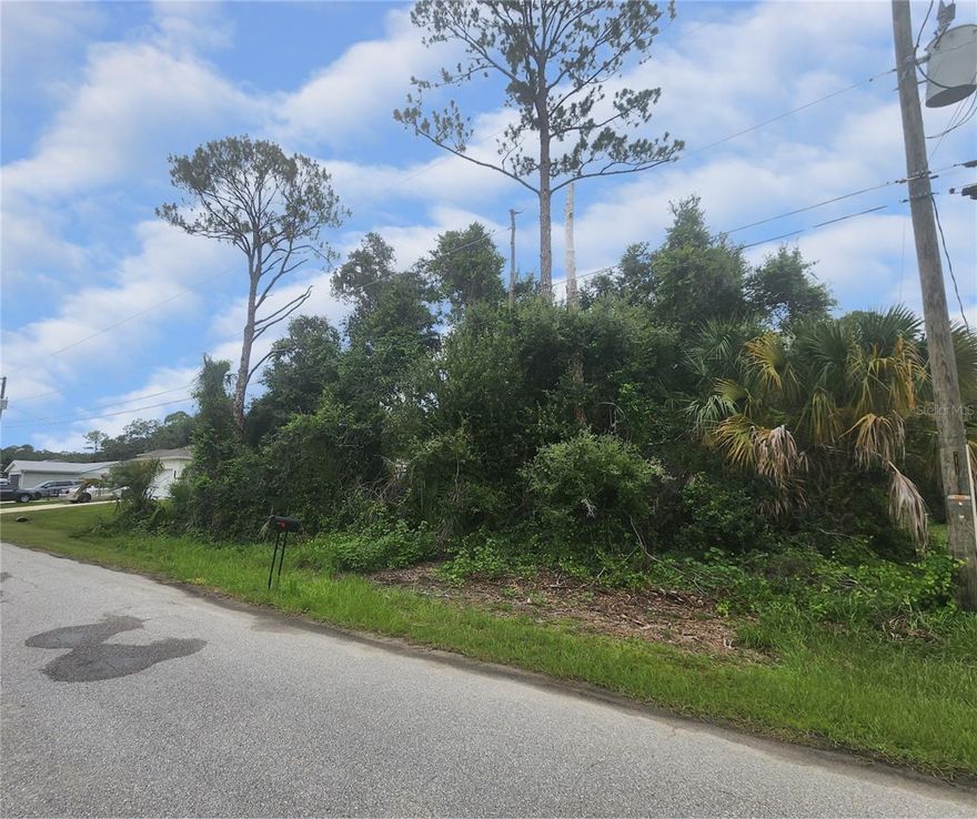 Your chance to embrace the Florida lifestyle awaits on this prime residential lot in the desirable North Port Estates area of North Port.  This spacious, uncleared parcel offers a blank canvas for your dream home or smart investment. The lot is located in a neighborhood adjacent to luxury and agricultural acreage properties and just minutes from vibrant shopping, dining, entertainment, and the bustling Wellen Park district, you’ll enjoy everyday convenience with a touch of luxury nearby.

With no HOA or CDD fees and easy access to I-75 and US-41, you’ll appreciate the freedom and flexibility to create a private oasis that perfectly matches your vision. Surrounded by new construction and growing demand, this is an exceptional opportunity to secure your piece of Southwest Florida
Don’t wait — stake your claim and build your future today!