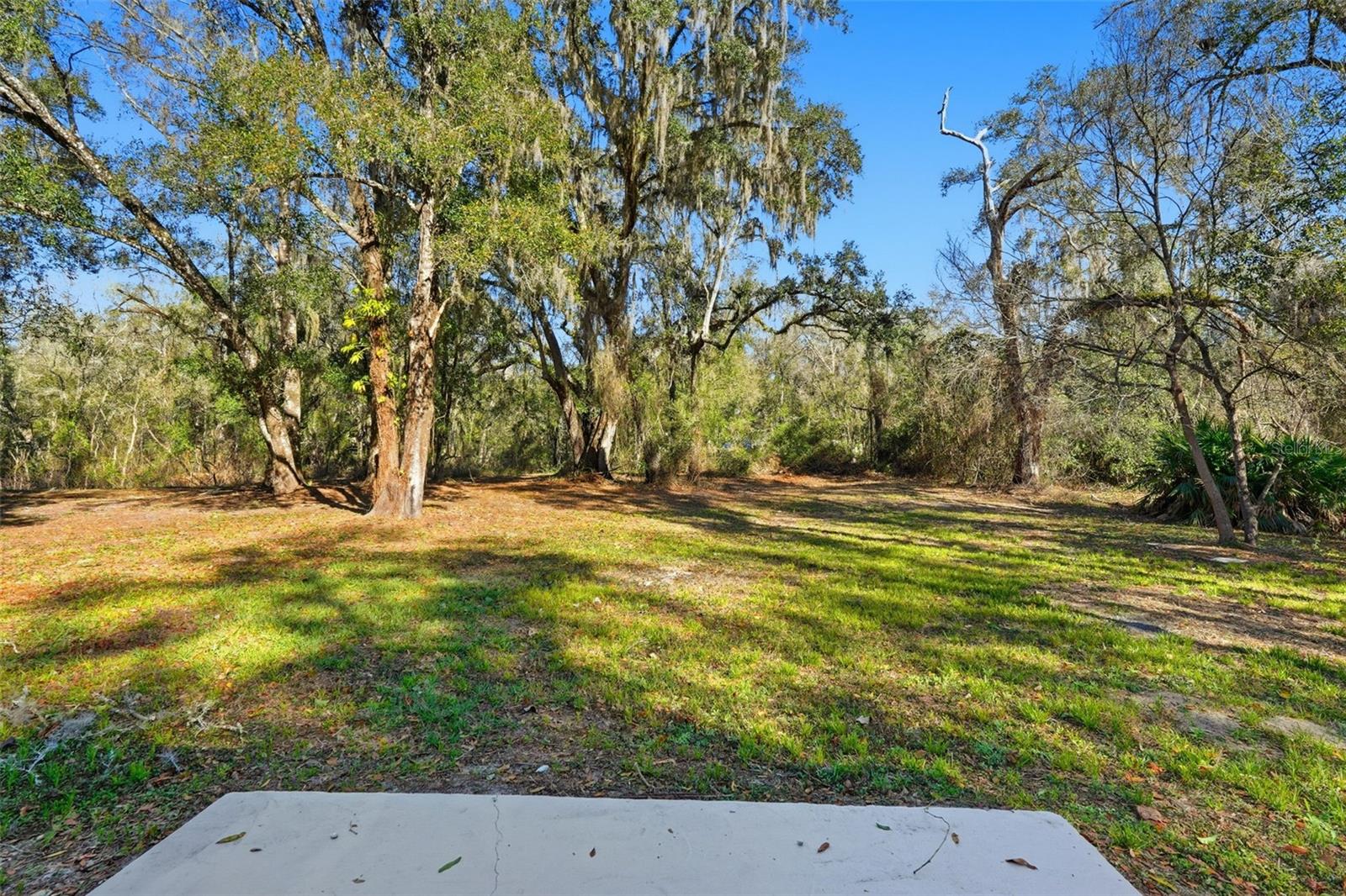 RIDGE MANOR FARMS - Residential