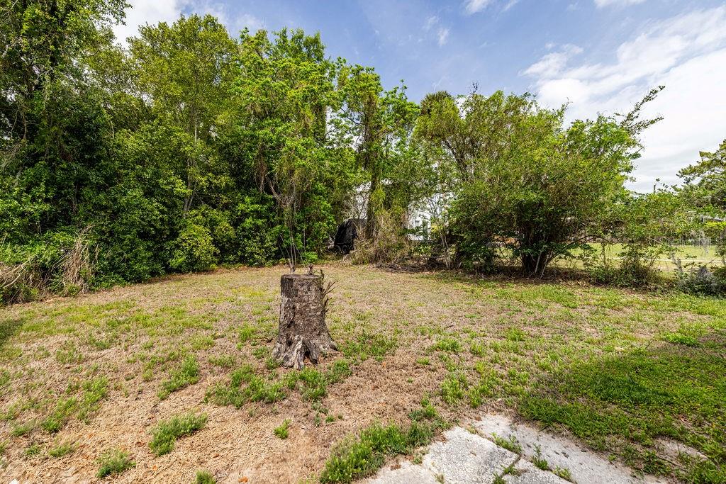 EUSTIS EL CERITO - Residential