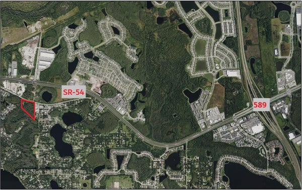 14356 BLACK LAKE RD, ODESSA, FL 33556 - Image 0a45852b6f98b6ca4498fbe9e1cda63e/878769920