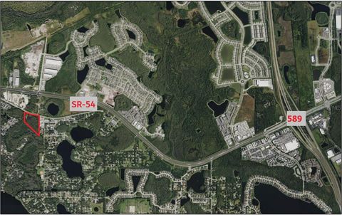 Photo of 14356 Black Lake Road, Odessa, FL 33556 (MLS # TB8523051)