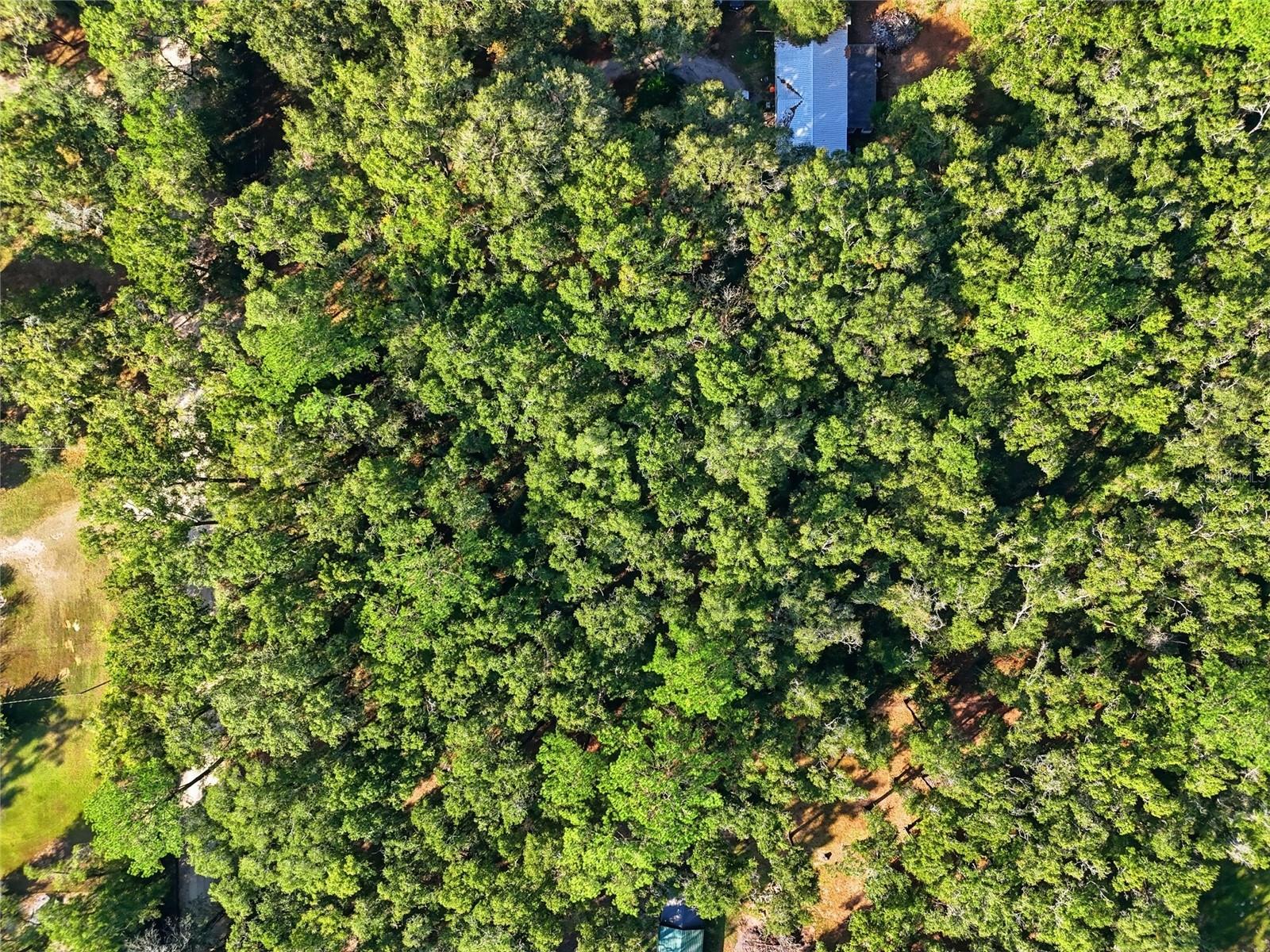 WILLISTON HIGHLANDS UNIT 9 - Land