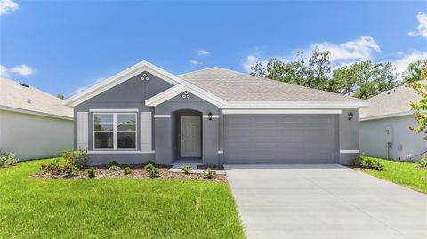 Photo of 11908 Mountain Island Trail, Parrish, FL 34219 (MLS # A4693790)