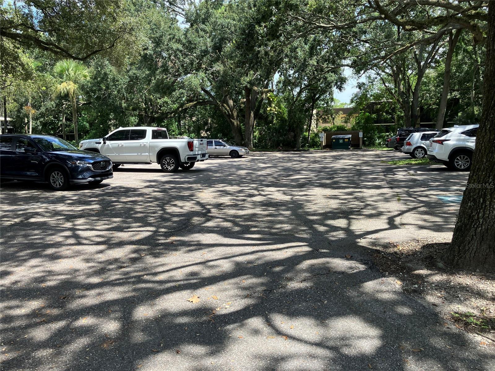 RAINTREE VILLAGE CONDO N - Residential