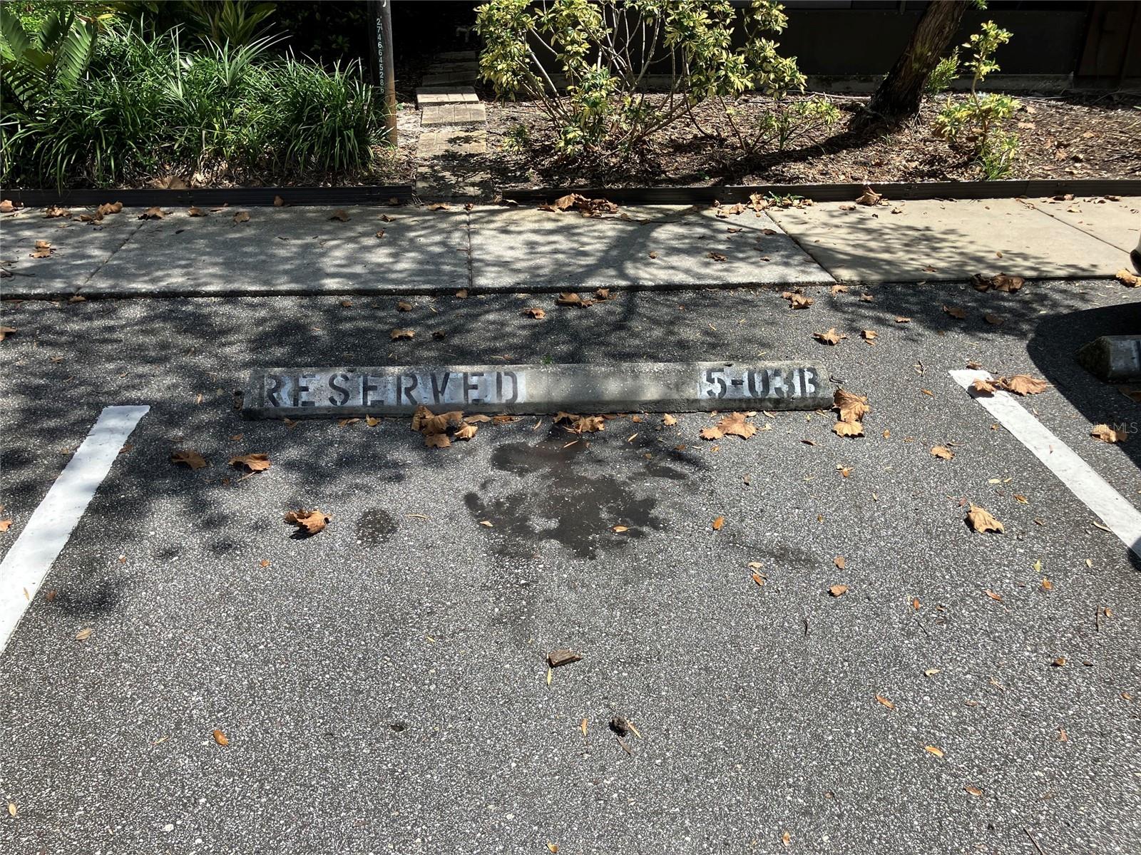 RAINTREE VILLAGE CONDO N - Residential