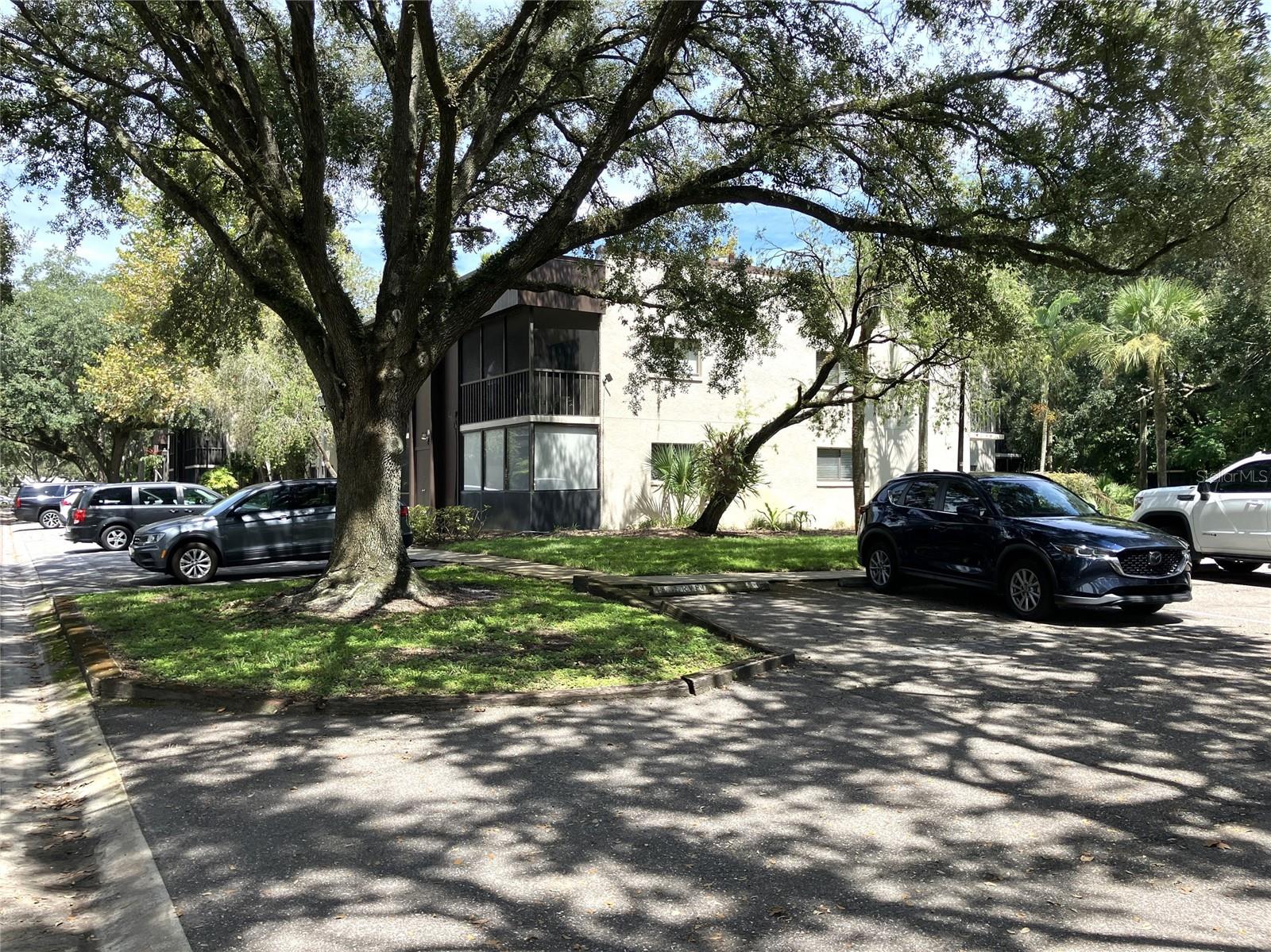 RAINTREE VILLAGE CONDO N - Residential