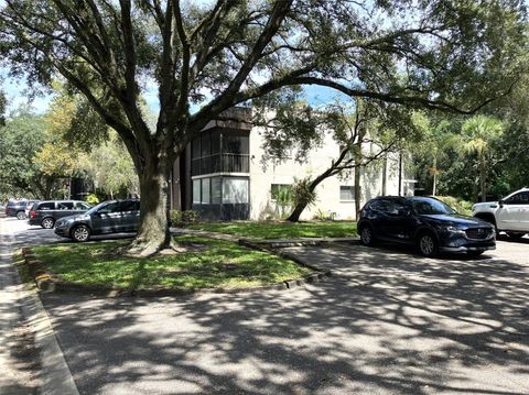 11703 RAINTREE VILLAGE BOULEVARD B TEMPLE TERRACE FL 33617