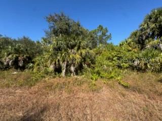 LOT 4 MATTOX CIRCLE