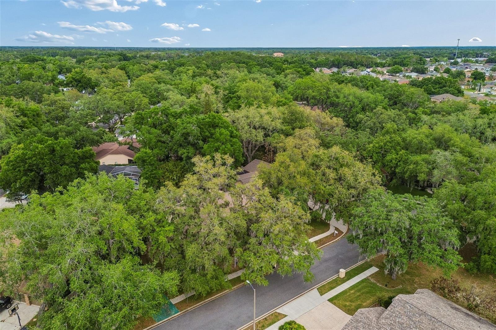 WOODRIDGE - Residential