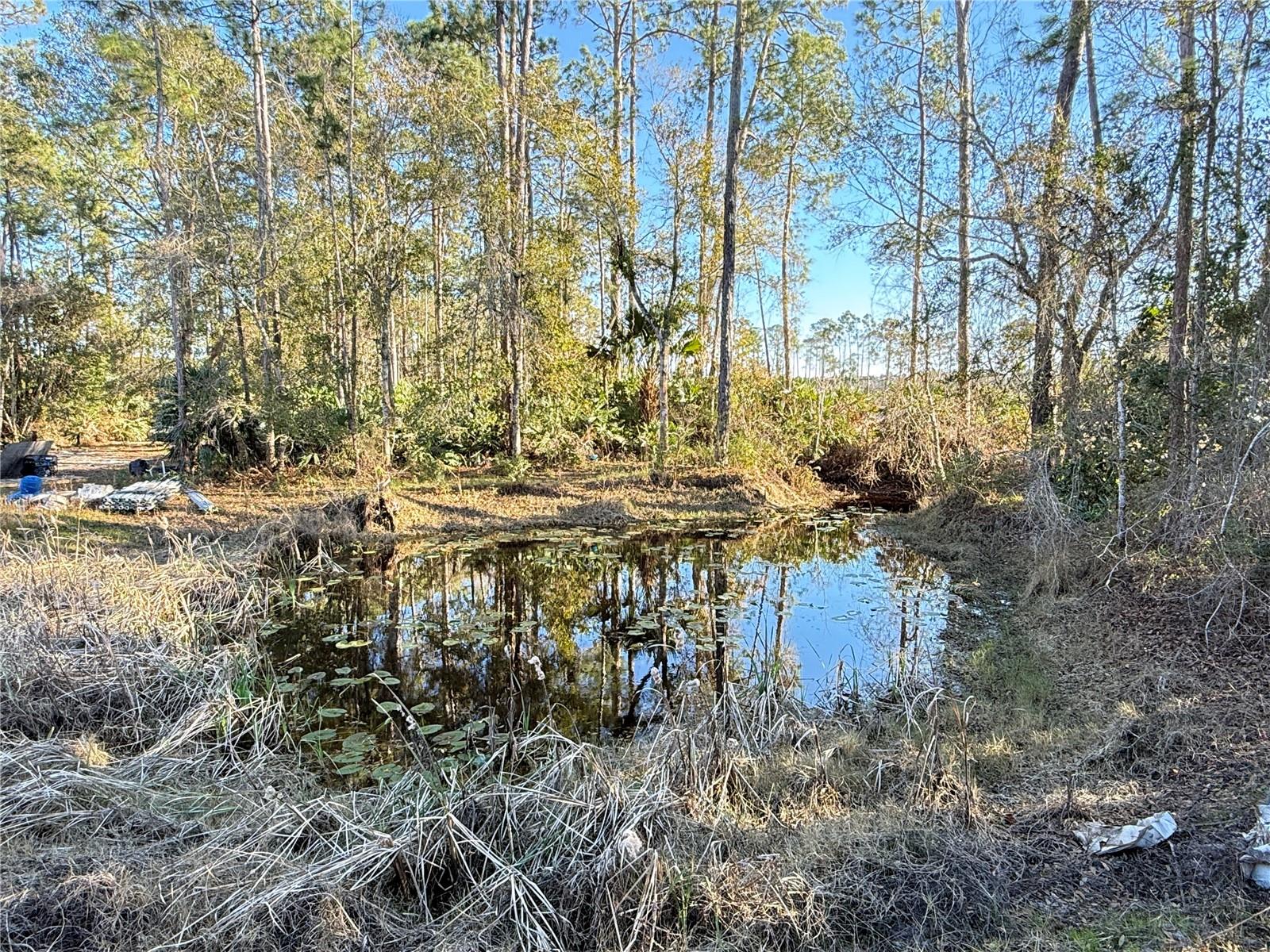 HOWE & CURRIERS ALLOTMENT - Land