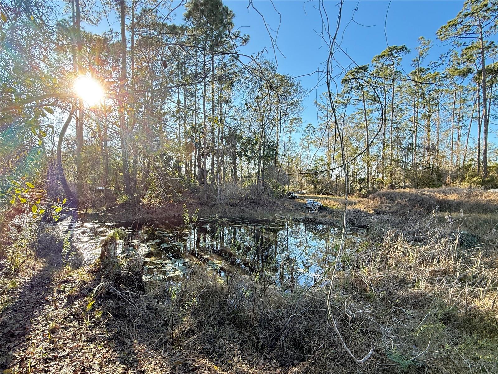 HOWE & CURRIERS ALLOTMENT - Land