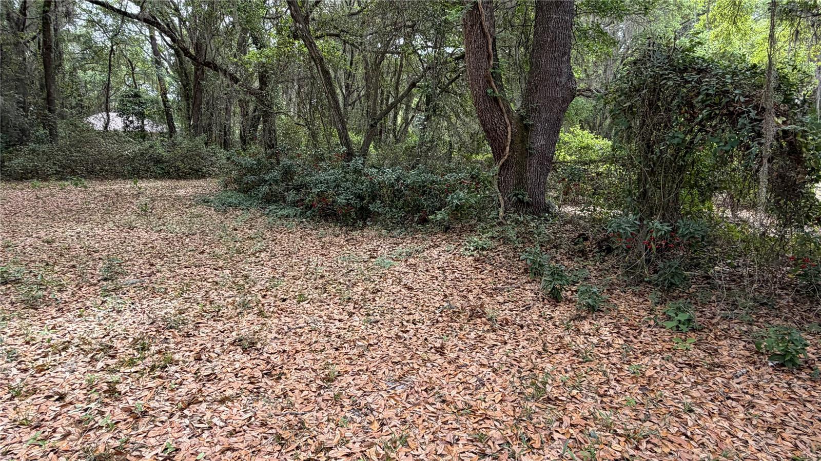 LAKE BONNET ESTATES - Residential