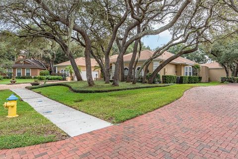 A home in LITHIA