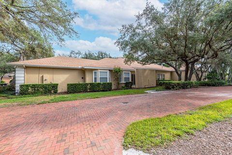 A home in LITHIA