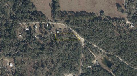 154TH AVENUE OLD TOWN FL 32680