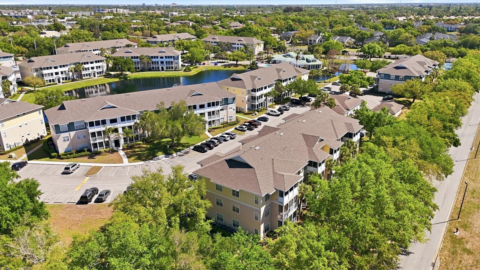 THE PALMS OF CORTEZ - Residential