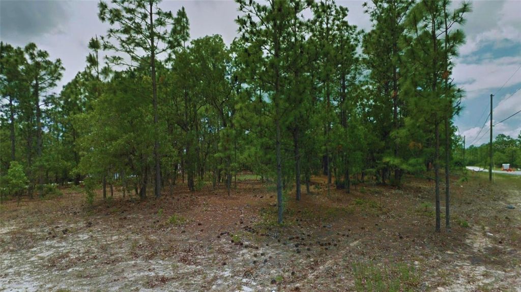 Photo of 1188 W Zamora Lane, Citrus Springs, FL 34434 (MLS # O6350286)