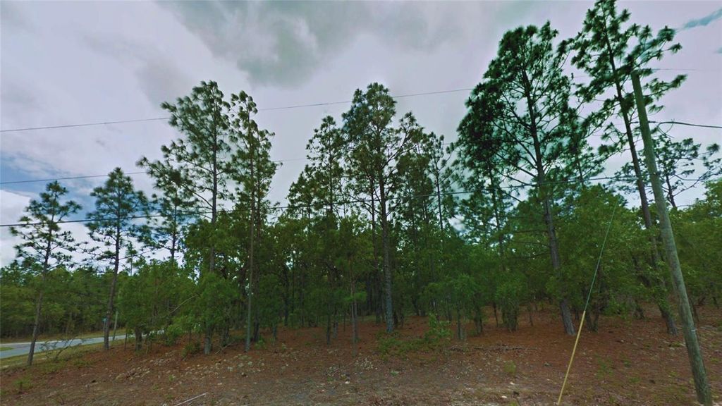 Photo of 1188 W Zamora Lane, Citrus Springs, FL 34434 (MLS # O6350286)