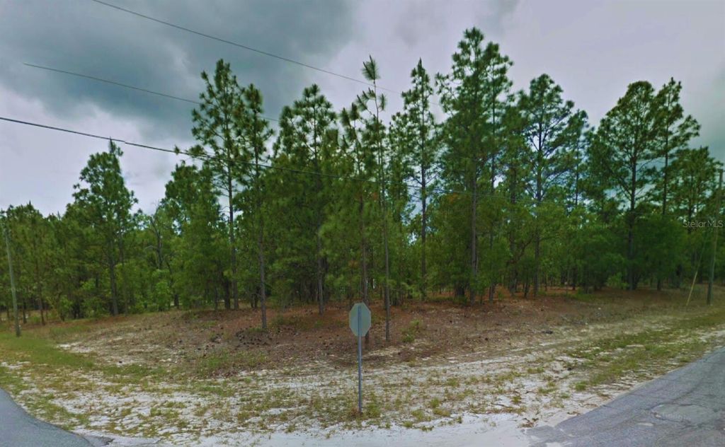 Photo of 1188 W Zamora Lane, Citrus Springs, FL 34434 (MLS # O6350286)