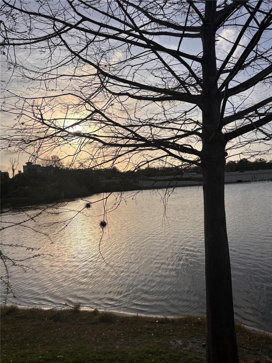 WATERSIDE AT CRANES ROOST A CONDO COMMUNITY - Residential Lease