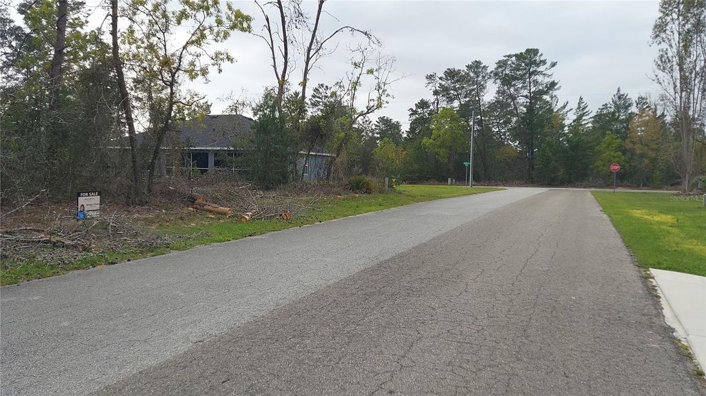 Photo of 3 Tall Marigolds Ct, Ct, Homosassa, FL 34446 (MLS # TB8489846)