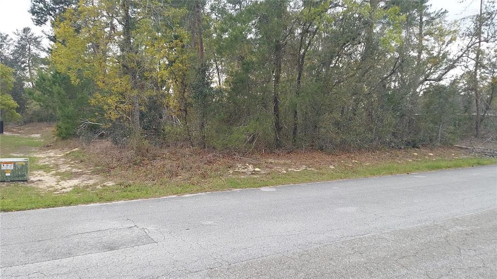 Photo of 3 Tall Marigolds Ct, Ct, Homosassa, FL 34446 (MLS # TB8489846)