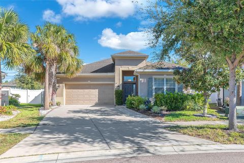 8206 WILLOW BEACH DRIVE RIVERVIEW FL 33578