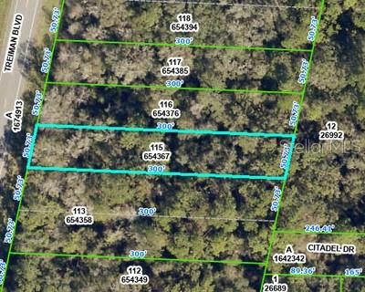 Nice wooded 1/3 of an acre lot in Webster right on Hwy 301/ Treiman Blvd. This country setting is a great site for a single family home or a perfect investment opportunity for this fast growing area. No mobile or manufactured homes are permitted per Hernando County. Well and septic is permitted for the property. Convenient location close to major highways. Only 60 minutes to Orlando and 40 minutes to Tampa and the airport. Additional property right next door also available and seller prefers to sell them together. This would be almost an acre. This property is lot 15. The additional property right next door is a double lot that included lots 13 & 14. Together they are .90 acres. So many possibilities with this property. Contact us today to learn more or schedule a viewing!