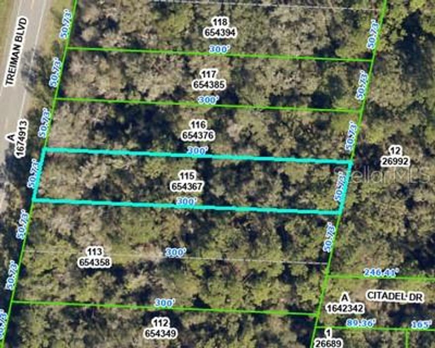 Nice wooded 1/3 of an acre lot in Webster right on Hwy 301/ Treiman Blvd. This country setting is a great site for a single family home or a perfect investment opportunity for this fast growing area.  No mobile or manufactured homes are permitted per Hernando County. Well and septic is permitted for the property. Convenient location close to major highways. Only 60 minutes to Orlando and 40 minutes to Tampa and the airport. Additional property right next door also available and seller prefers to sell them together. This would be almost an acre. This property is lot 15. The additional property right next door is a double lot that included lots 13 & 14. Together they are .90 acres. So many possibilities with this property. Contact us today to learn more or schedule a viewing!