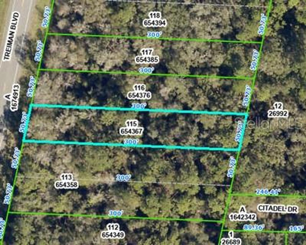 Photo of 8388 Treiman Boulevard, Webster, FL 33597 (MLS # OM703343)