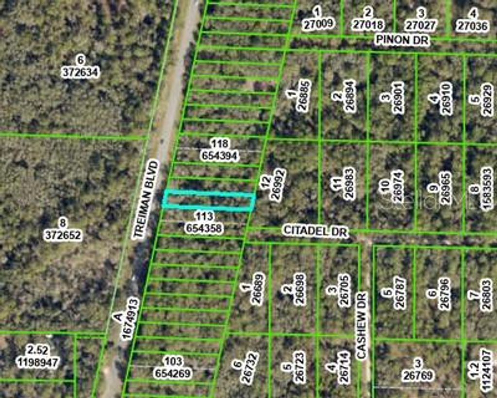 Photo of 8388 Treiman Boulevard, Webster, FL 33597 (MLS # OM703343)