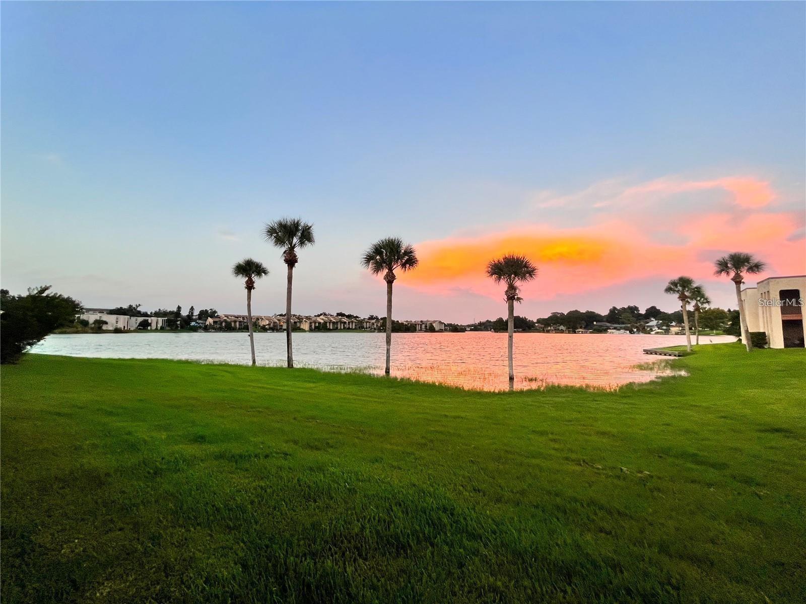 ROYAL ARMS CONDO - Residential Lease