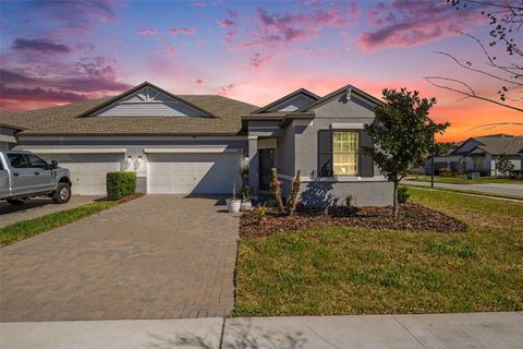 Photo of 9882 Campanula Court, Land O Lakes, FL 34637 (MLS # TB8441133)
