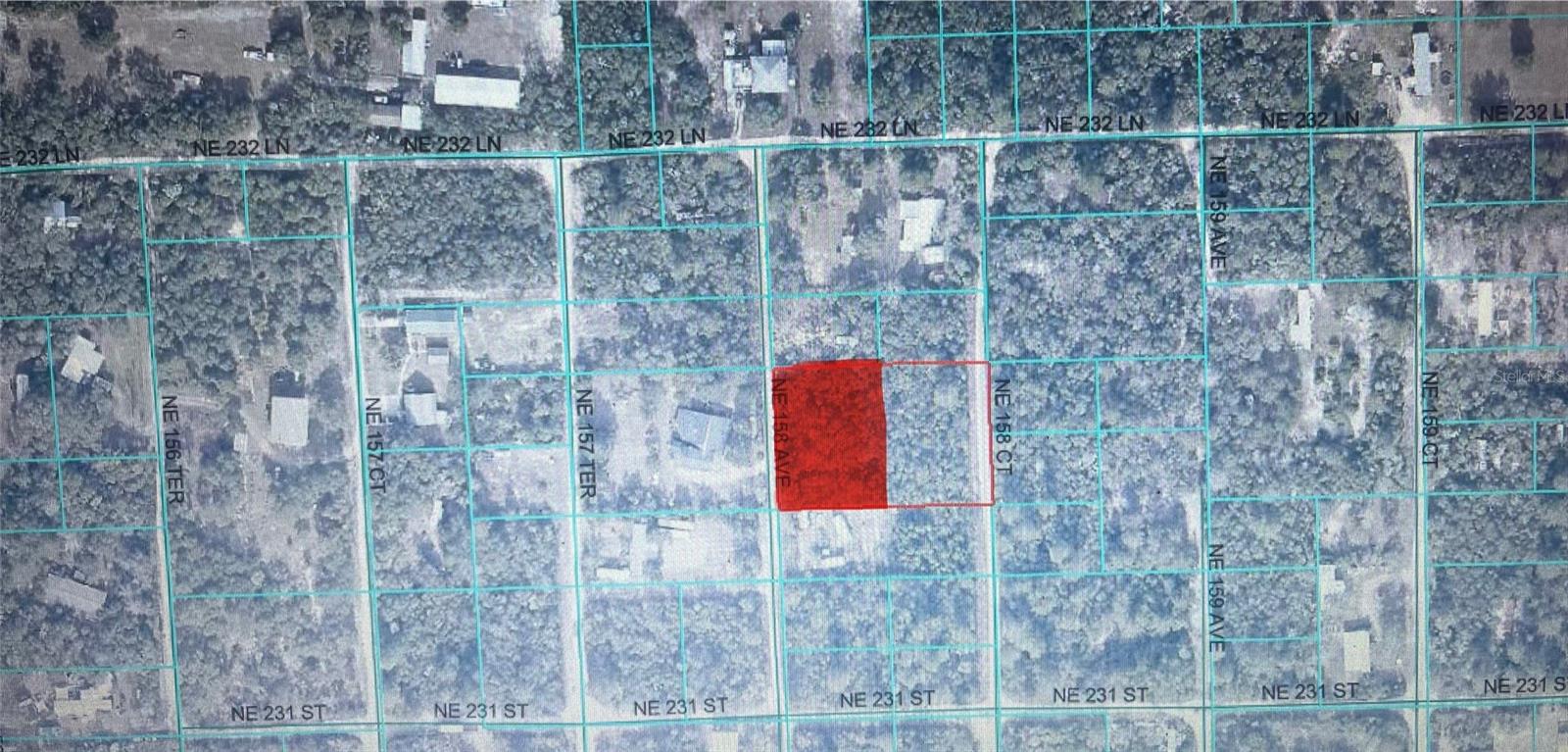 OCALA NATIONAL FOREST CAMPSITES - Land