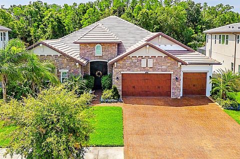 29118 PICANA LANE WESLEY CHAPEL FL 33543