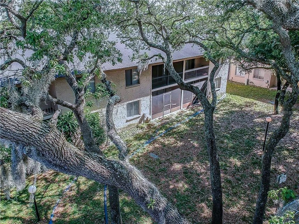 Photo of 7537 Pitch Pine Circle N #C, Tampa, FL 33617 (MLS # TB8467457)