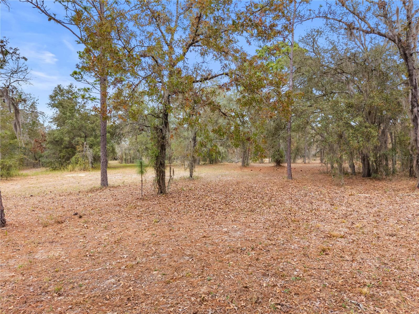 FOX GROVE FARMS - Residential