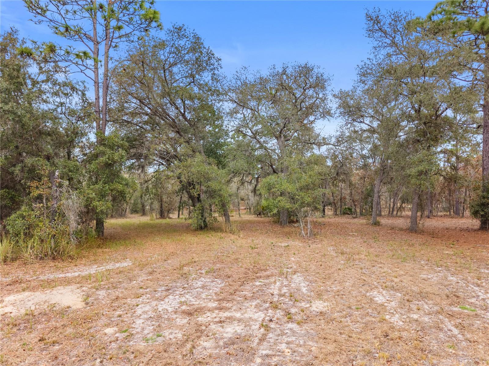 FOX GROVE FARMS - Residential