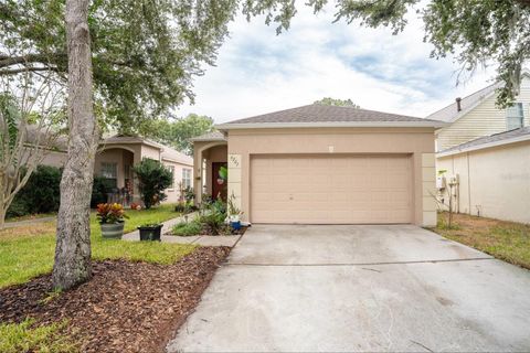 6207 KITERIDGE DRIVE LITHIA FL 33547